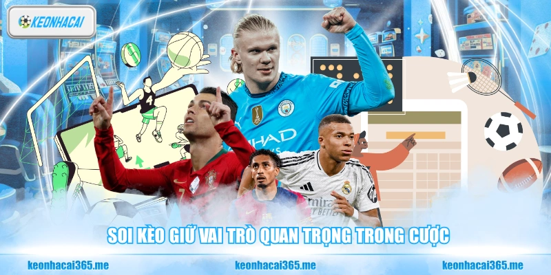 Soi kèo giữ vai trò quan trọng trong cược